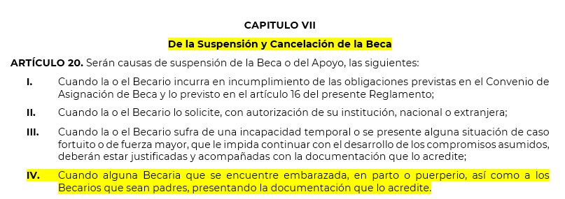 La convocatoria refiere que las becarias que se encuentren embarazadas, en parto o puerperio se les quitará el apoyo que reciben en ese lapso (Foto: Twitter/@EquisJusticia)